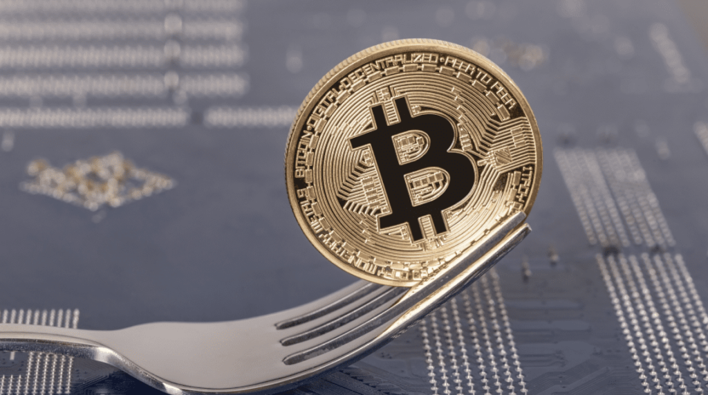 buying bitcoin fork